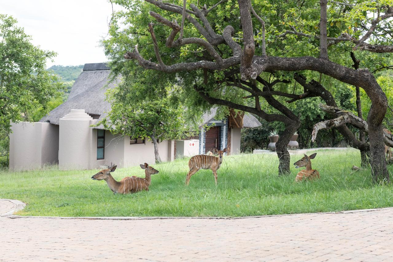 Muluwa Lodge White River Eksteriør billede